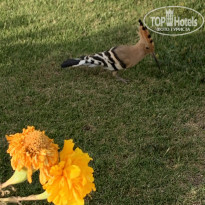 фото из отзыва ID 2679888