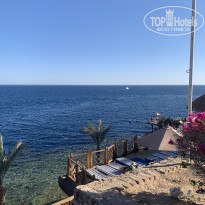 фото из отзыва ID 2679888