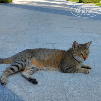 фото из отзыва ID 2679909