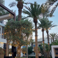 фото из отзыва ID 2679909