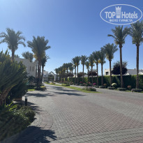 фото из отзыва ID 2679946