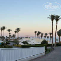 фото из отзыва ID 2679946