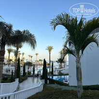 фото из отзыва ID 2679946