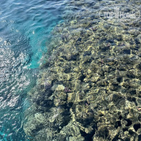 фото из отзыва ID 2679954