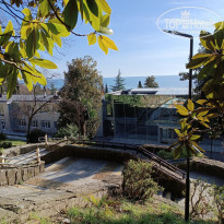 фото из отзыва ID 2679960