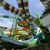 фото из отзыва ID 2679961