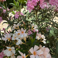 фото из отзыва ID 2679961