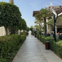 фото из отзыва ID 2679961