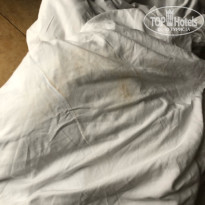 фото из отзыва ID 2679968