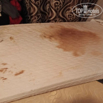 фото из отзыва ID 2679968