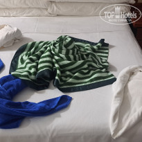 фото из отзыва ID 2679983