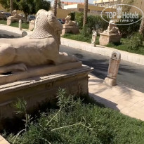 фото из отзыва ID 2677544