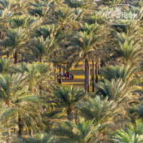 фото из отзыва ID 2670188