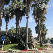 фото из отзыва ID 2678825