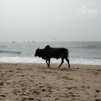 фото из отзыва ID 2674603