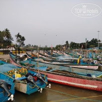 фото из отзыва ID 2674603