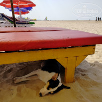 фото из отзыва ID 2674603