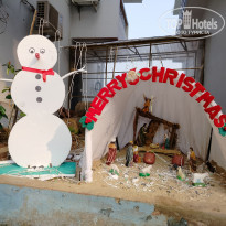 фото из отзыва ID 2674603