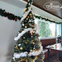 фото из отзыва ID 2674603