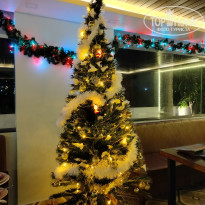 фото из отзыва ID 2674603