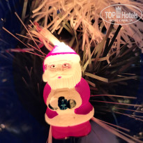 фото из отзыва ID 2674603