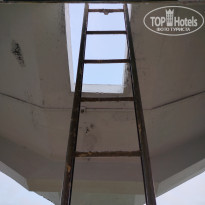 фото из отзыва ID 2674603