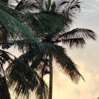 фото из отзыва ID 2674603