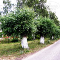 фото из отзыва ID 2677932