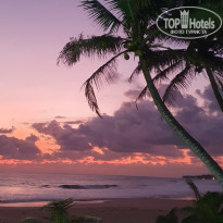 фото из отзыва ID 2676788