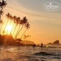 фото из отзыва ID 2676788