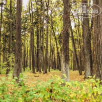 фото из отзыва ID 2679071