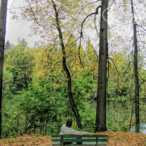 фото из отзыва ID 2679071