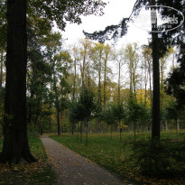 фото из отзыва ID 2679071