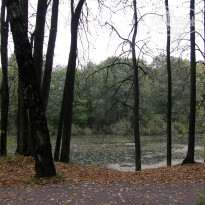 фото из отзыва ID 2679071