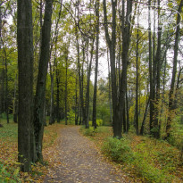 фото из отзыва ID 2679071