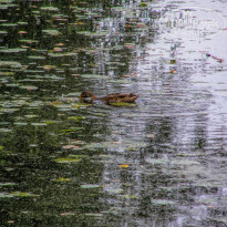 фото из отзыва ID 2679071