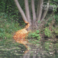 фото из отзыва ID 2679071