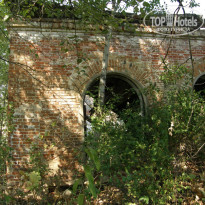 фото из отзыва ID 2678089