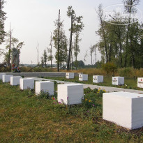 фото из отзыва ID 2678089