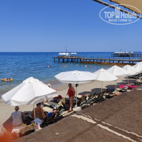 фото из отзыва ID 2671918