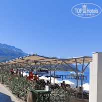 фото из отзыва ID 2671918