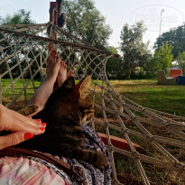 фото из отзыва ID 2677022