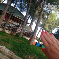 фото из отзыва ID 2677022