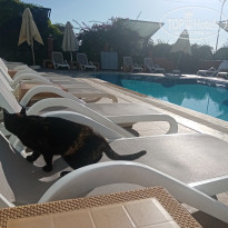 фото из отзыва ID 2677022