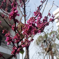 фото из отзыва ID 2679210