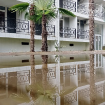 фото из отзыва ID 2679210