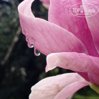 фото из отзыва ID 2679210