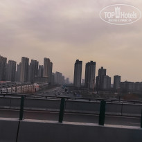 фото из отзыва ID 2679844