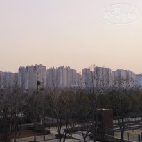 фото из отзыва ID 2679844