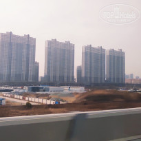 фото из отзыва ID 2679844